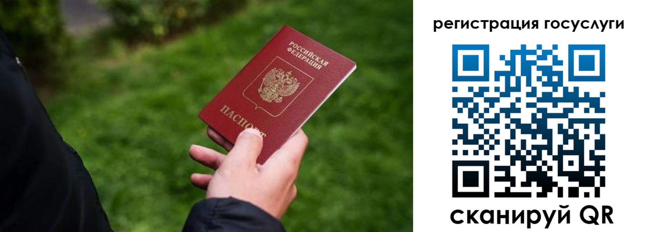 прописка в Химках